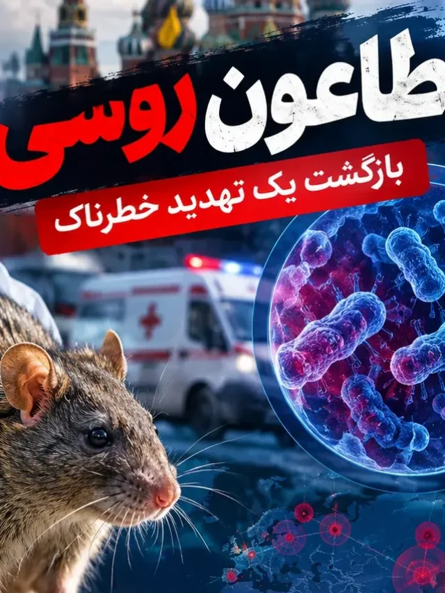 خطر طاعون روسی را جدی بگیرید! ابتلا در ایران؟!